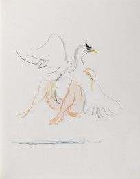 Sketch Leda 29