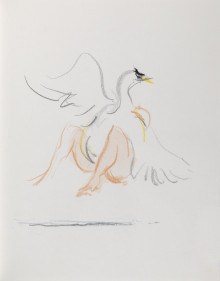 Sketch Leda 29