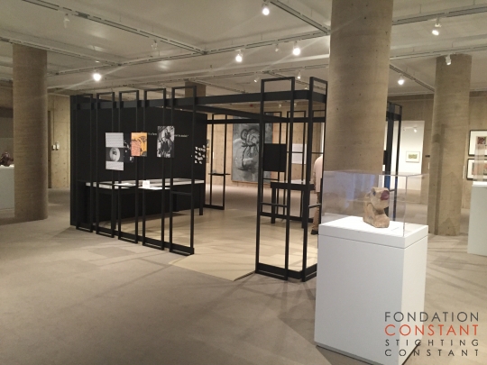 Human Animals-The Art of Cobra by Fiona Laugharn-3