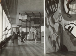 T-T √2, 1965-2
