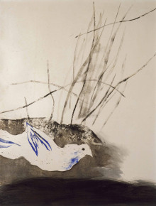 Constant Nieuwenhuys-Vogel (Duif), 1952